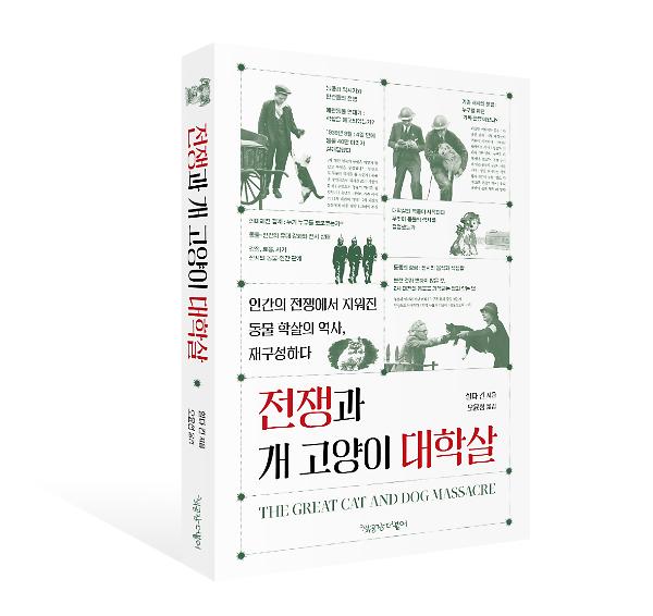 입체표지(3D 표지)