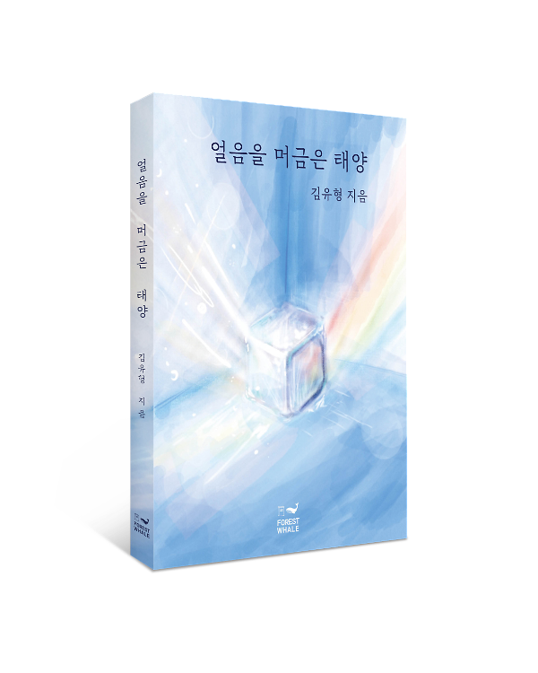 입체표지(3D 표지)