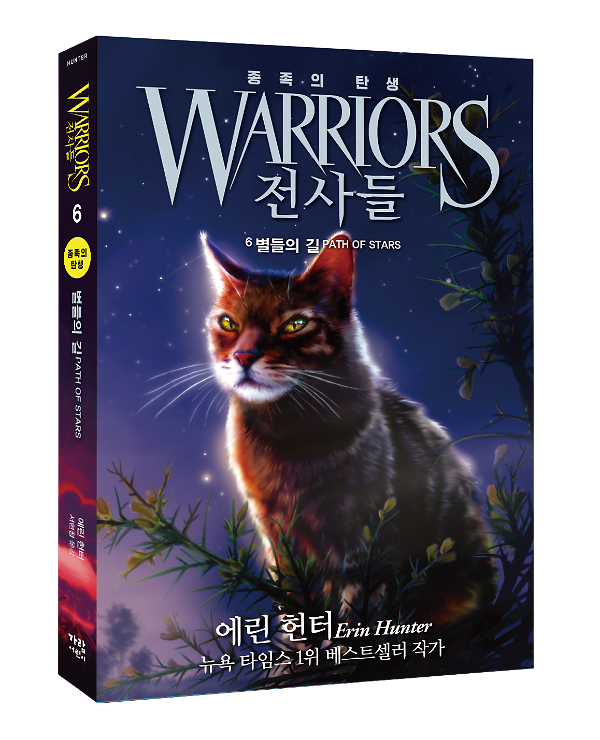 입체표지(3D 표지)