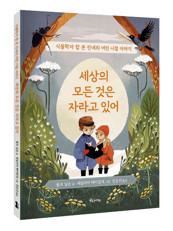 입체표지(3D 표지)