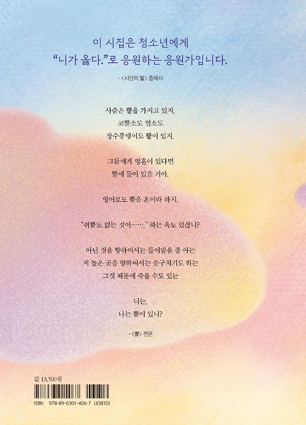 2D 뒤표지