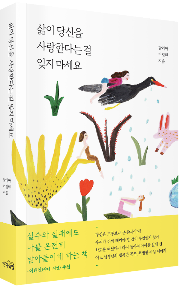 입체표지(3D 표지)