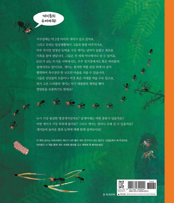 2D 뒤표지