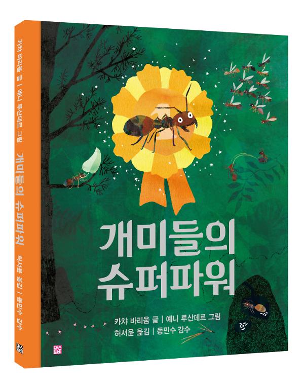 입체표지(3D 표지)