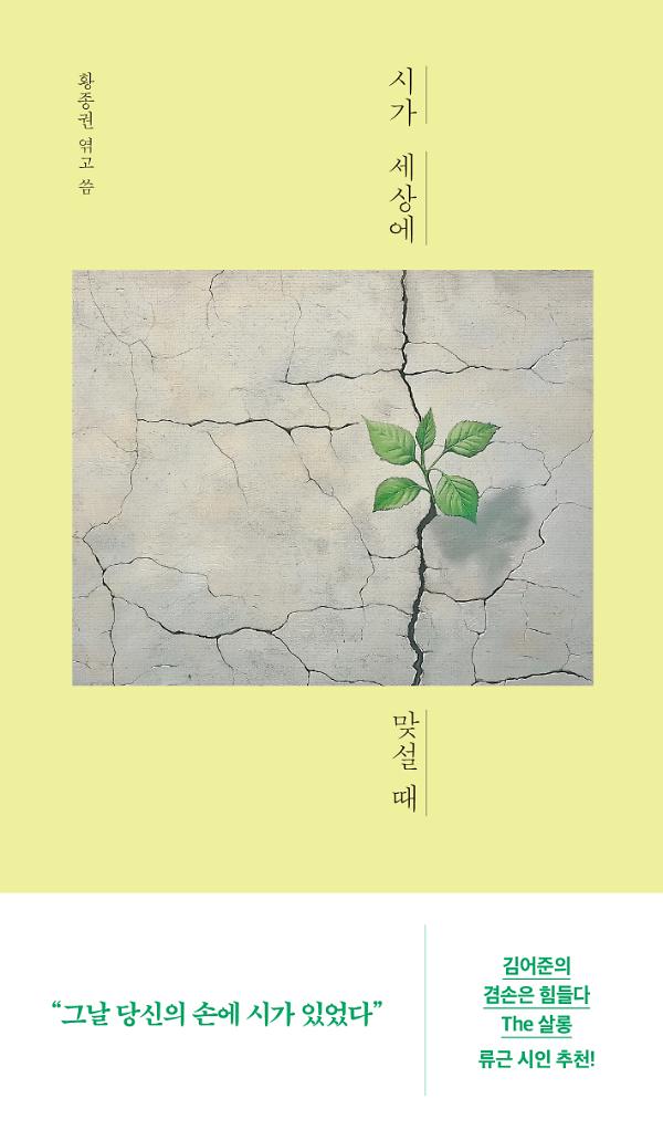 시가 세상에 맞설 때_책표지