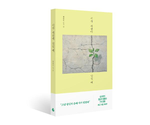 입체표지(3D 표지)