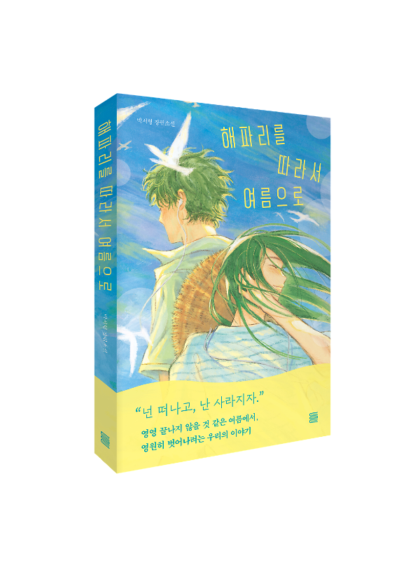 입체표지(3D 표지)