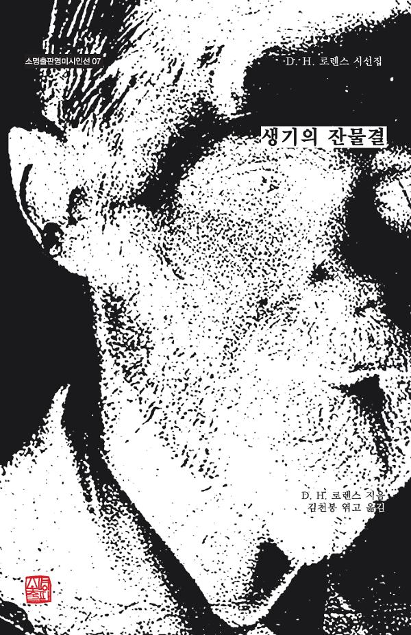 생기의 잔물결_책표지