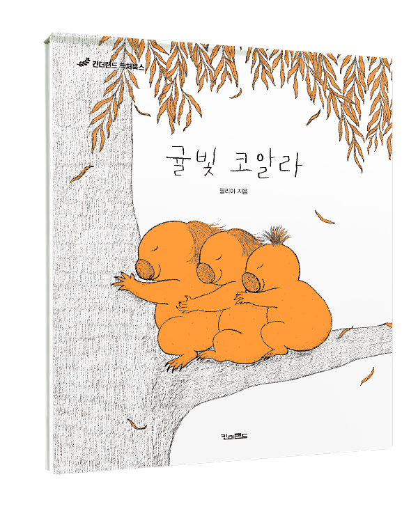입체표지(3D 표지)