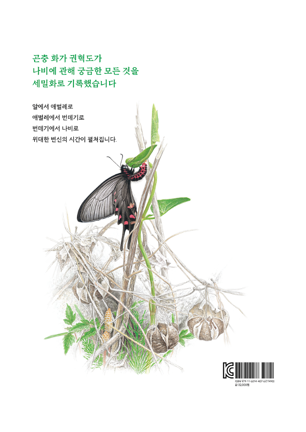 2D 뒤표지