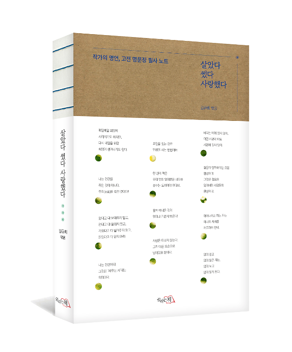 입체표지(3D 표지)