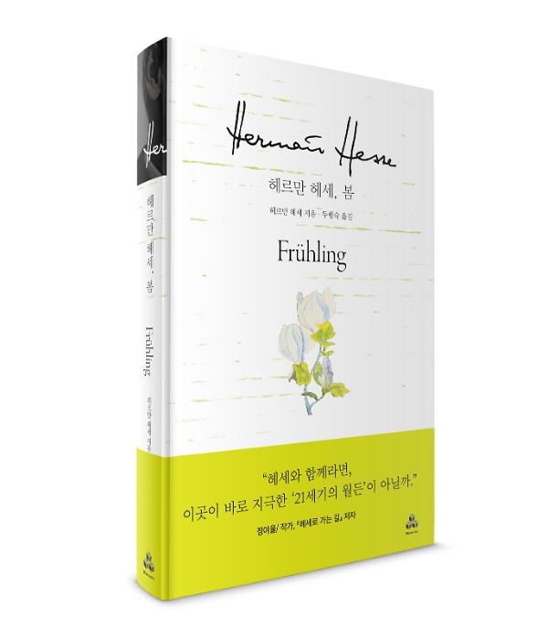 입체표지(3D 표지)