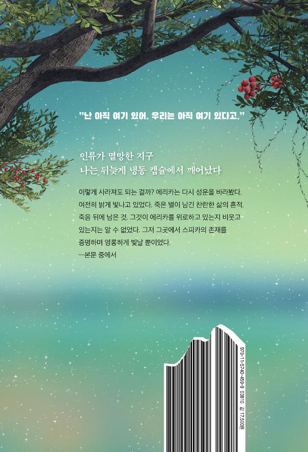 2D 뒤표지