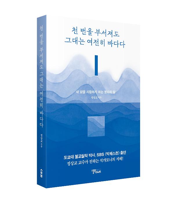 입체표지(3D 표지)