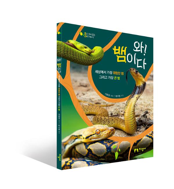 입체표지(3D 표지)