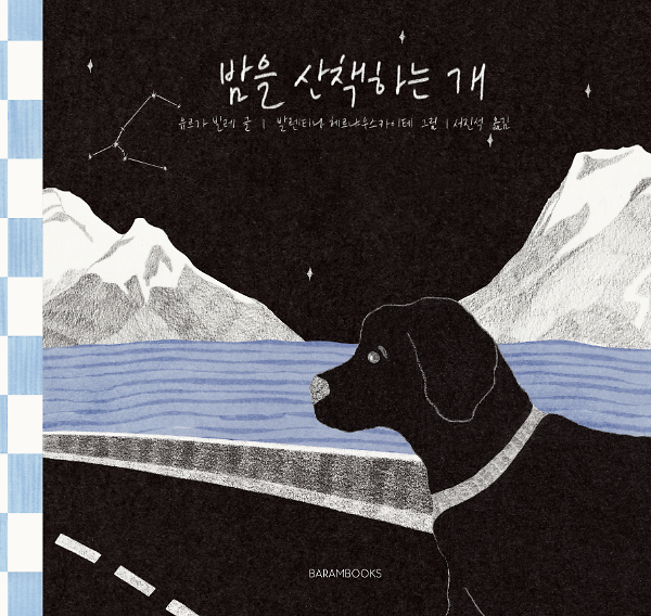 밤을 산책하는 개_책표지