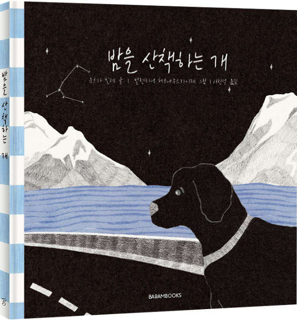 입체표지(3D 표지)