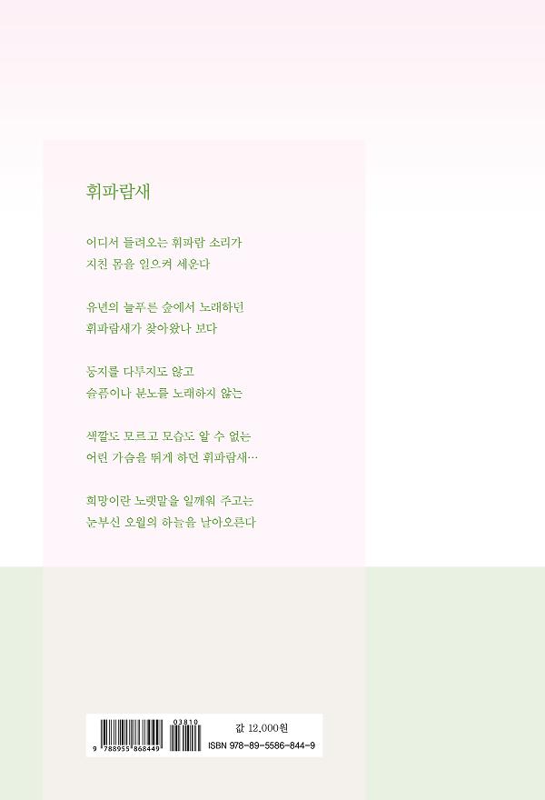 2D 뒤표지