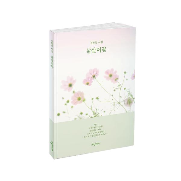 입체표지(3D 표지)