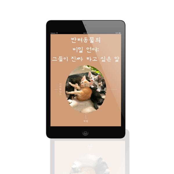 입체표지(3D 표지)
