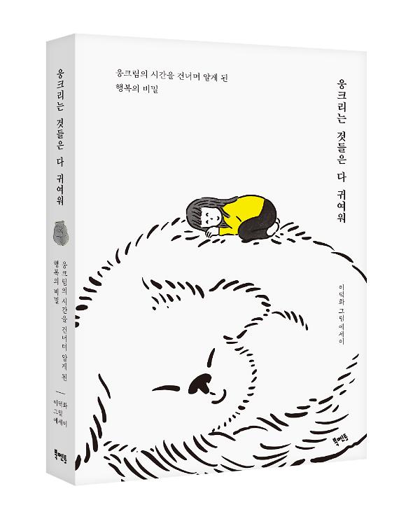 입체표지(3D 표지)