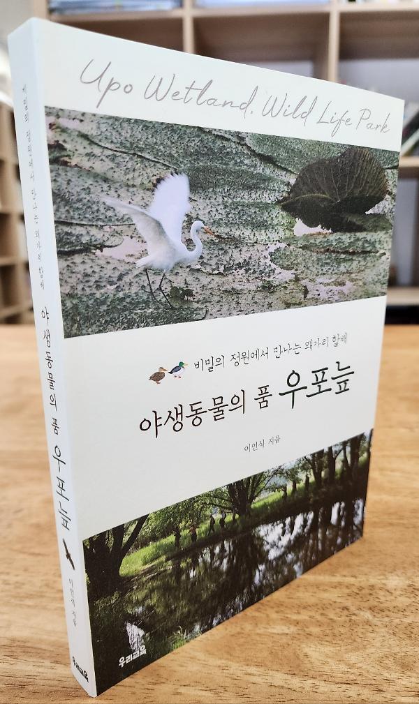 입체표지(3D 표지)