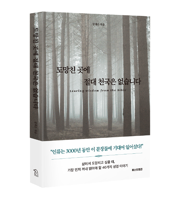 입체표지(3D 표지)