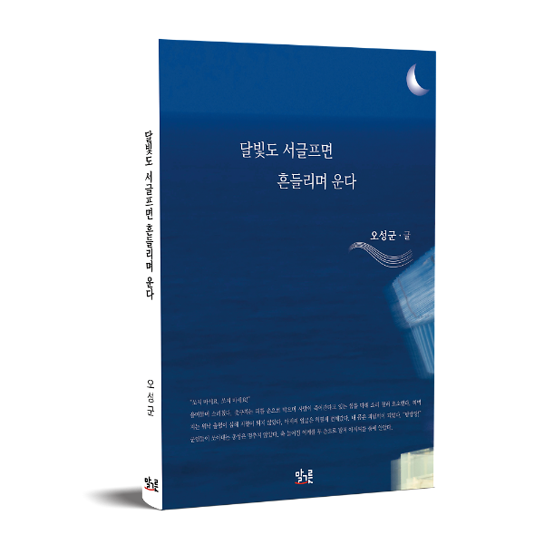 입체표지(3D 표지)