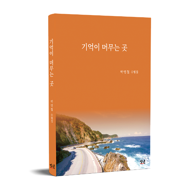 입체표지(3D 표지)