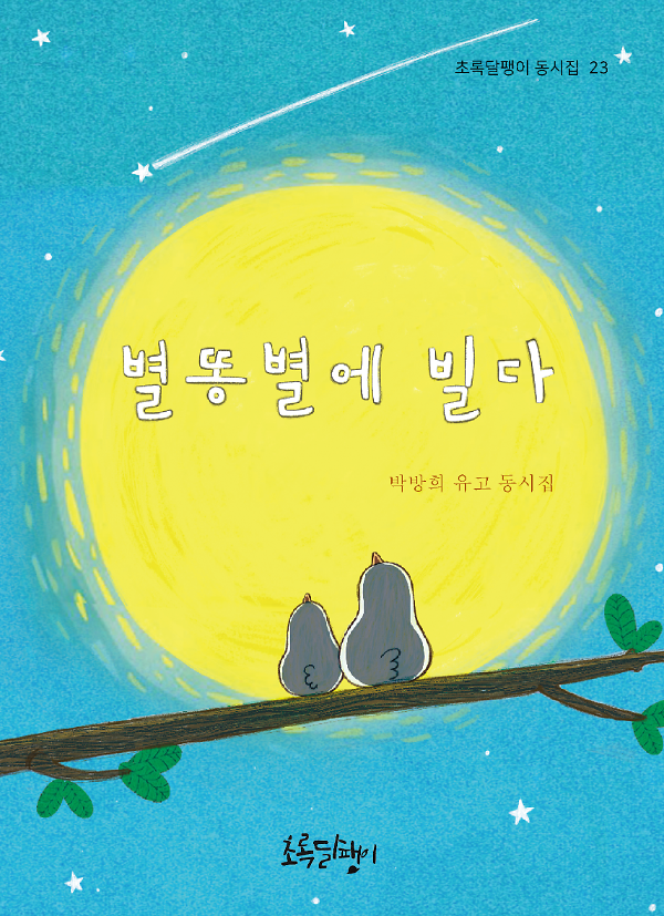 별똥별에 빌다_책표지