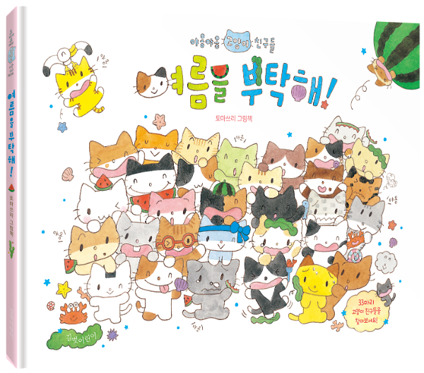 입체표지(3D 표지)