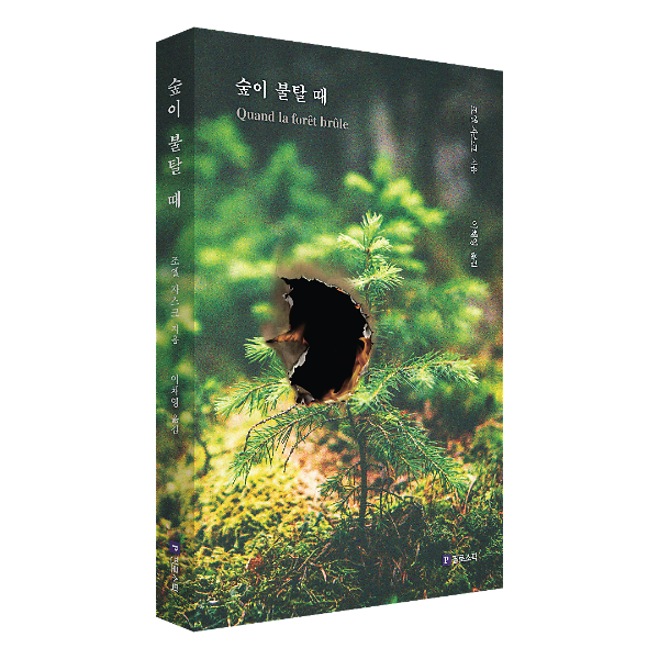 입체표지(3D 표지)