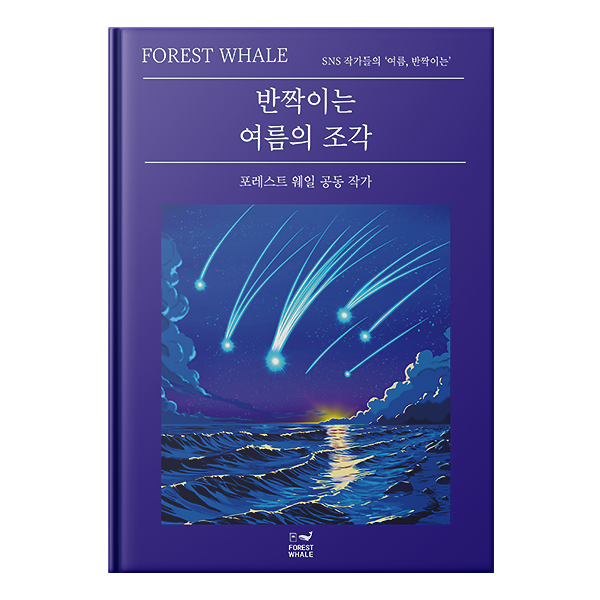 입체표지(3D 표지)
