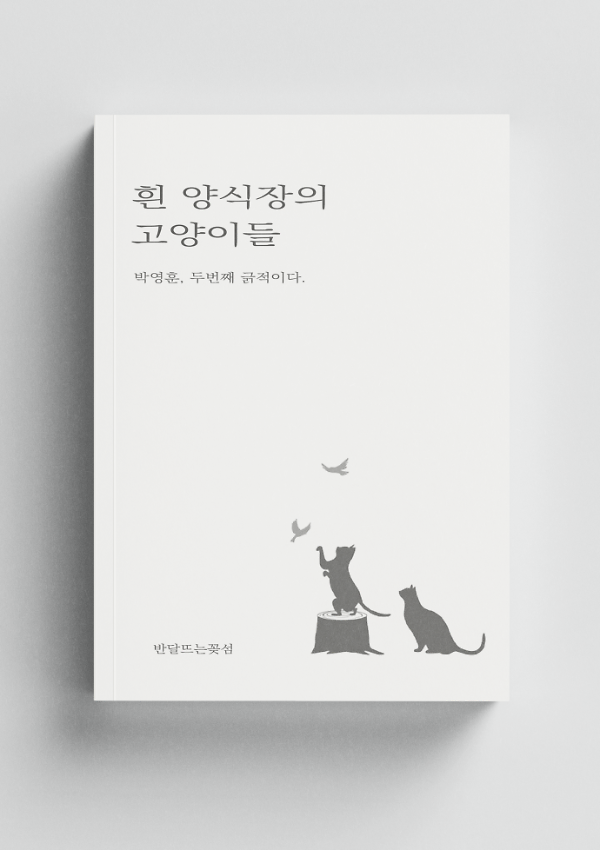 입체표지(3D 표지)