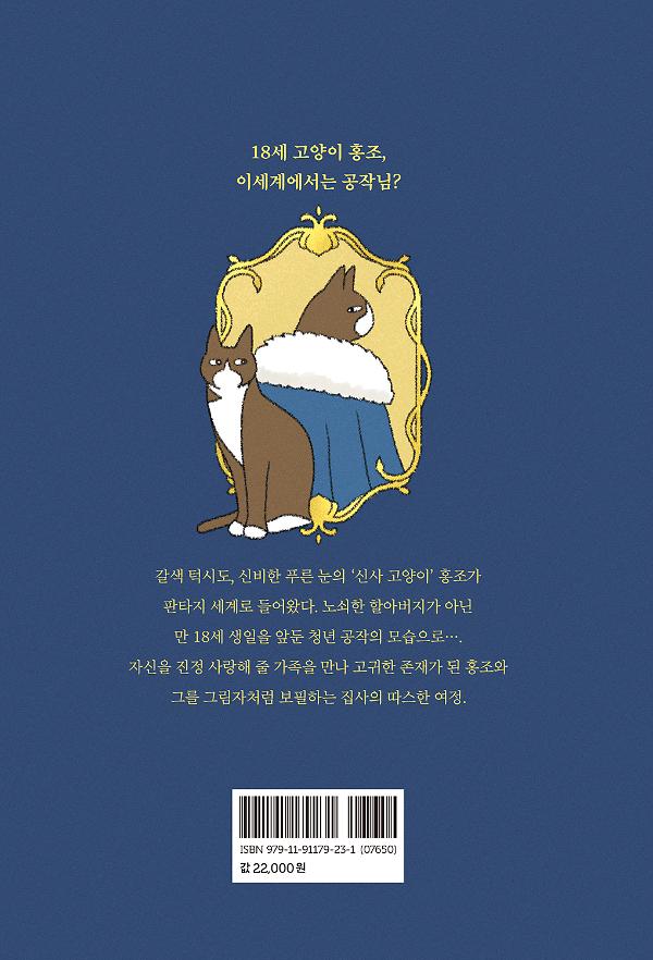 2D 뒤표지
