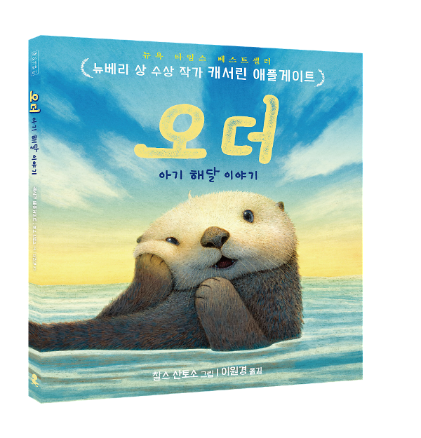 입체표지(3D 표지)