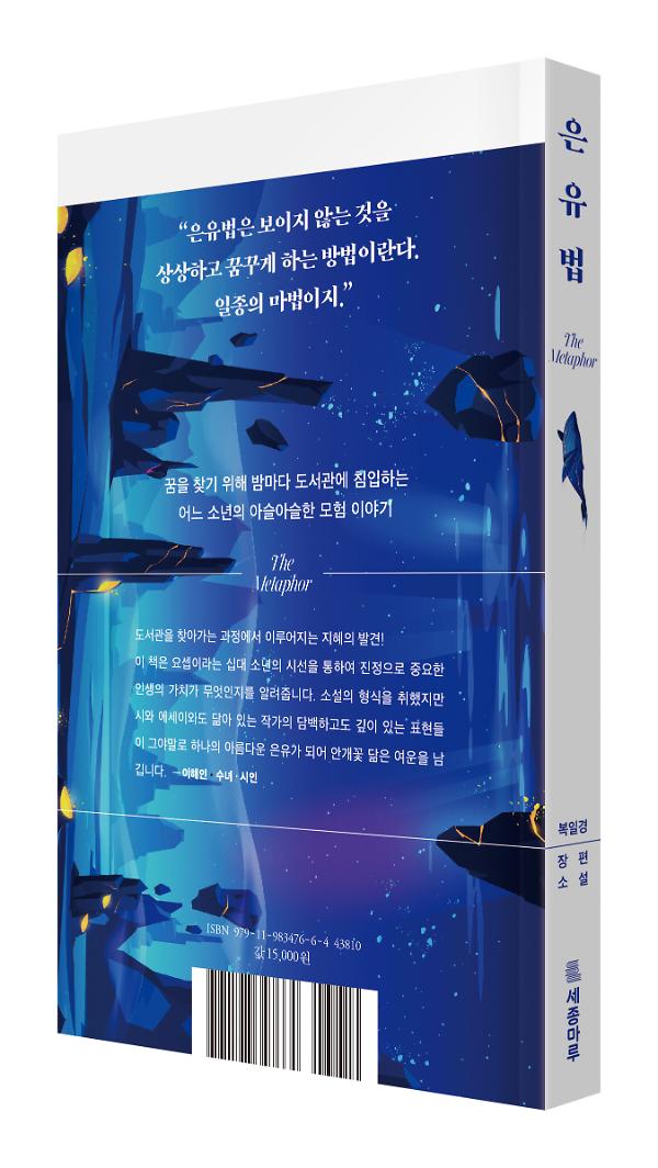 입체표지(3D 표지)