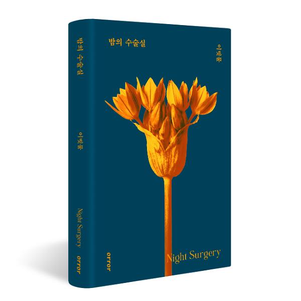 입체표지(3D 표지)