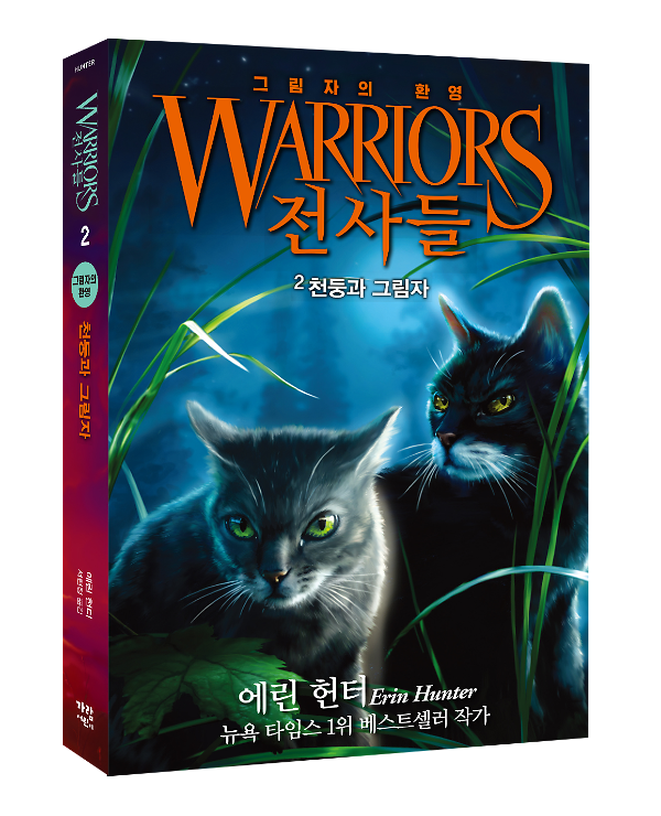 입체표지(3D 표지)