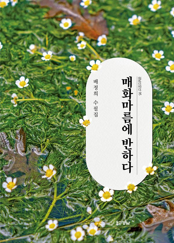 매화마름에 반하다_책표지