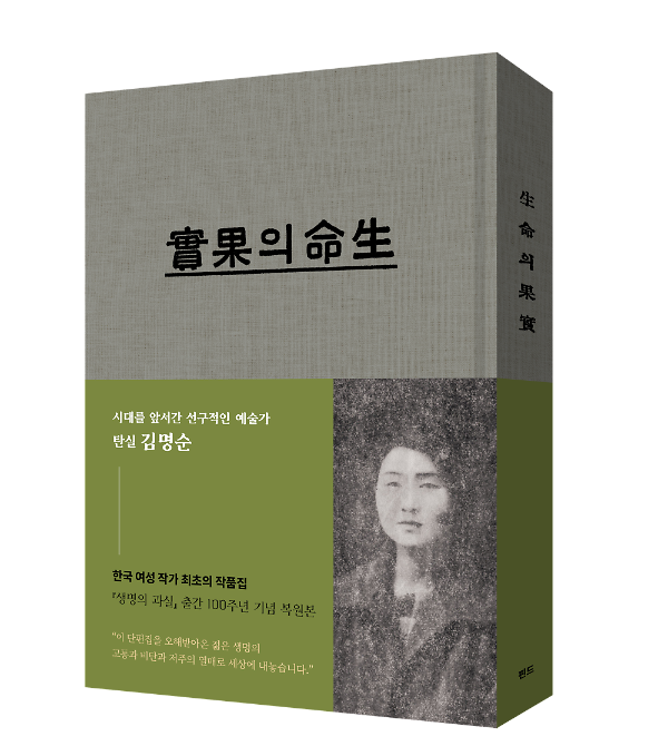 입체표지(3D 표지)