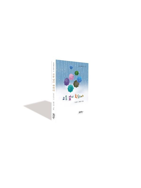 입체표지(3D 표지)