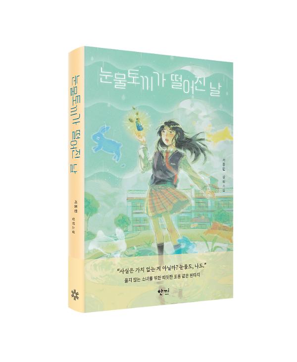 입체표지(3D 표지)