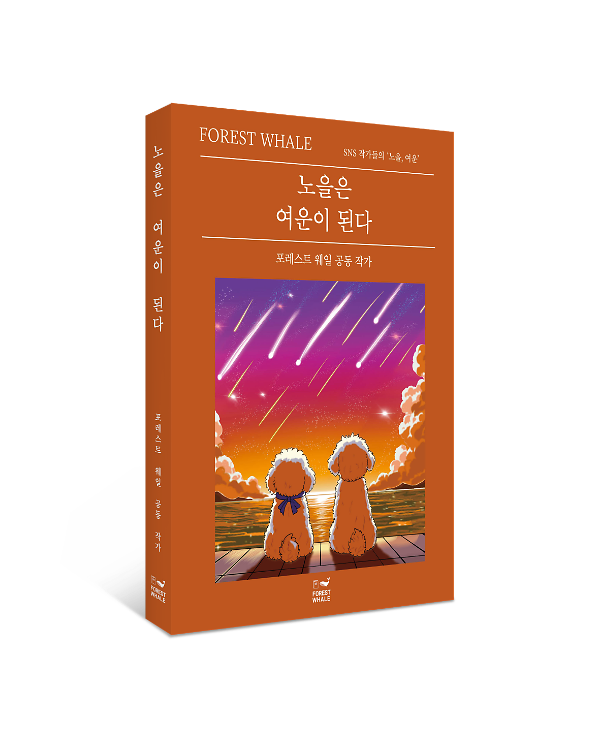입체표지(3D 표지)