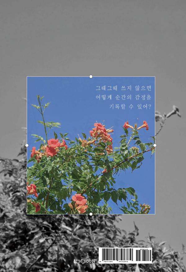 2D 뒤표지
