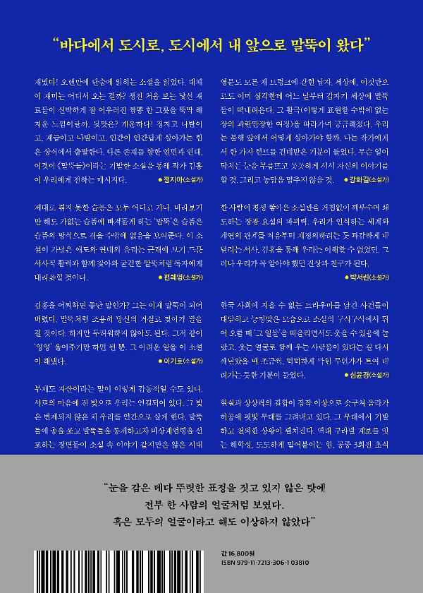 2D 뒤표지