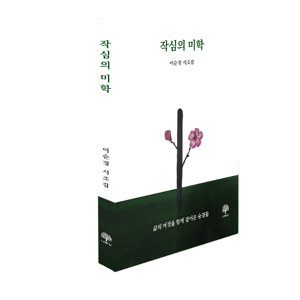 입체표지(3D 표지)