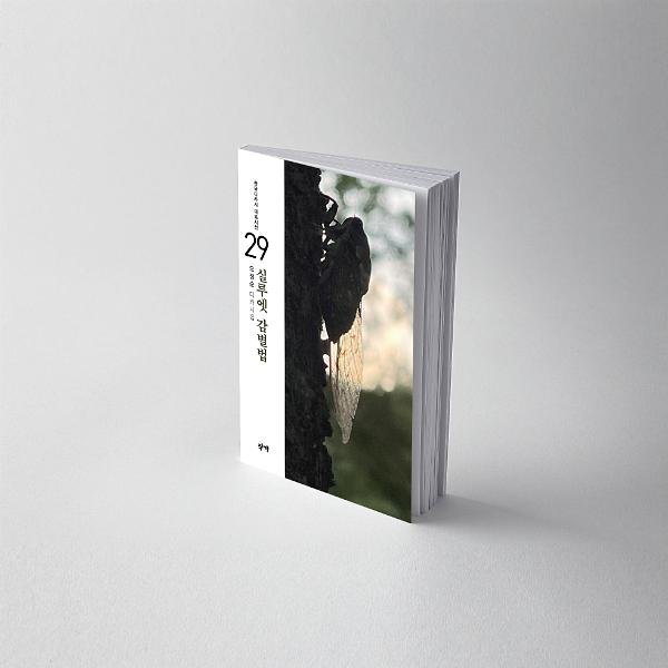 입체표지(3D 표지)