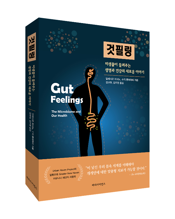 입체표지(3D 표지)