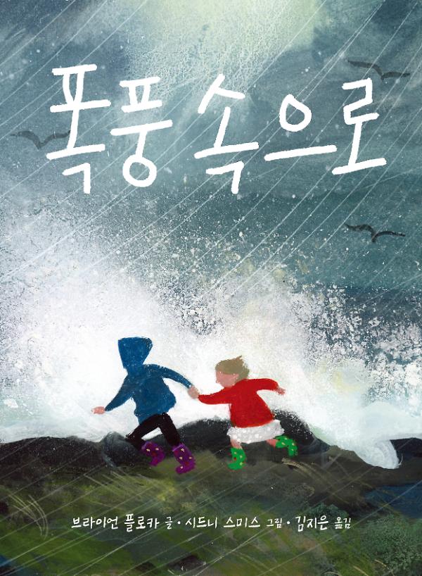 폭풍 속으로_책표지